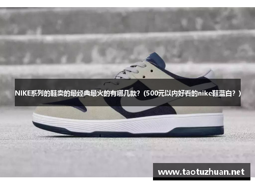 NIKE系列的鞋卖的最经典最火的有哪几款？(500元以内好看的nike鞋蓝白？)