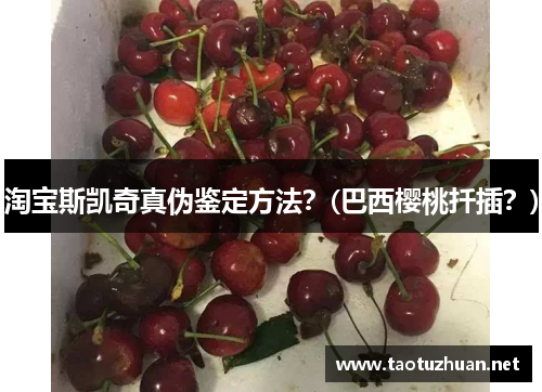 淘宝斯凯奇真伪鉴定方法？(巴西樱桃扦插？)